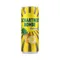 SB_0_33_Ananas_Dose.jpg