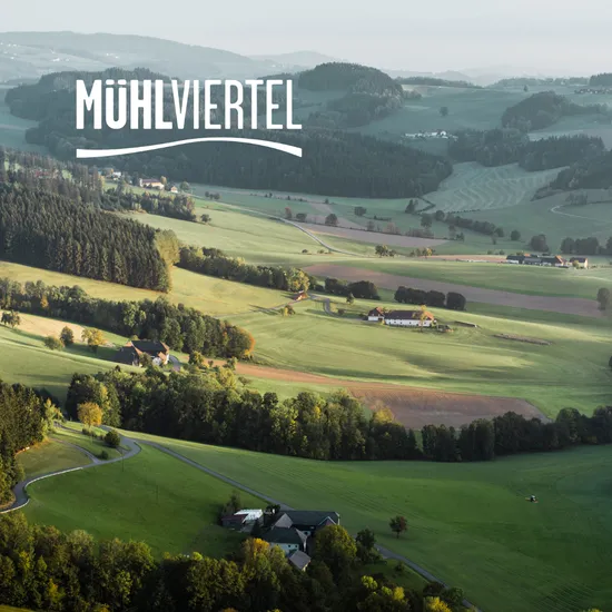 Images_Unterregionen__1_.png